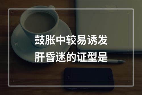 鼓胀中较易诱发肝昏迷的证型是