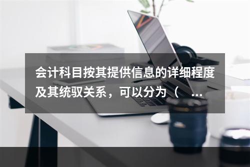 会计科目按其提供信息的详细程度及其统驭关系，可以分为（　　）