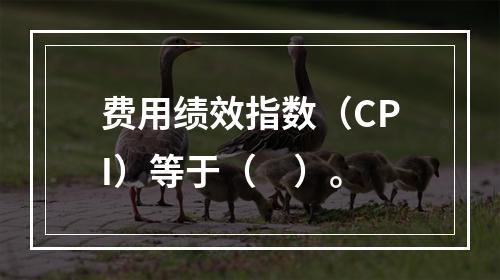 费用绩效指数（CPI）等于（　）。