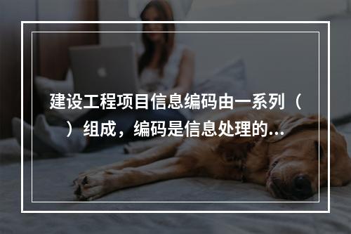 建设工程项目信息编码由一系列（　）组成，编码是信息处理的一项