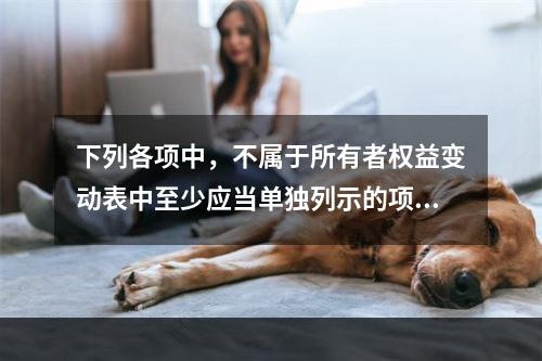 下列各项中，不属于所有者权益变动表中至少应当单独列示的项目是