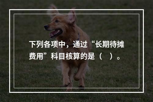 下列各项中，通过“长期待摊费用”科目核算的是（　）。