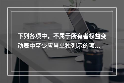 下列各项中，不属于所有者权益变动表中至少应当单独列示的项目是