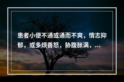 患者小便不通或通而不爽，情志抑郁，或多烦善怒，胁腹胀满，舌红