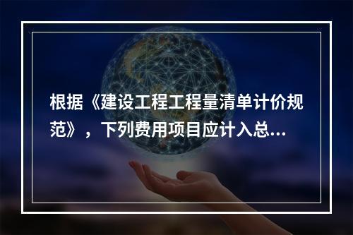 根据《建设工程工程量清单计价规范》，下列费用项目应计入总承包