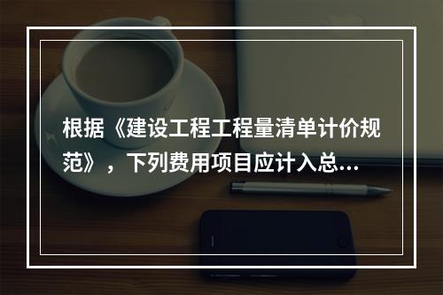 根据《建设工程工程量清单计价规范》，下列费用项目应计入总承包