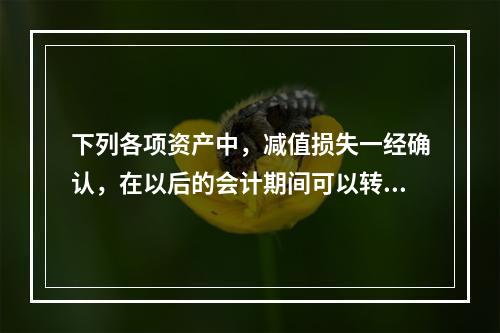 下列各项资产中，减值损失一经确认，在以后的会计期间可以转回的