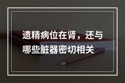 遗精病位在肾，还与哪些脏器密切相关