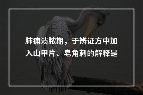 肺痈溃脓期，于辨证方中加入山甲片、皂角刺的解释是