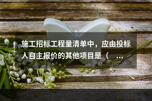 施工招标工程量清单中，应由投标人自主报价的其他项目是（　）。