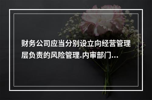 财务公司应当分别设立向经营管理层负责的风险管理.内审部门，这