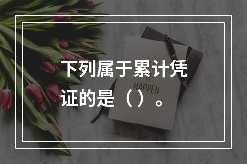 下列属于累计凭证的是（ ）。