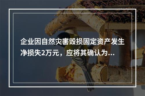 企业因自然灾害毁损固定资产发生净损失2万元，应将其确认为费用