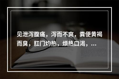 见泄泻腹痛，泻而不爽，粪便黄褐而臭，肛门灼热，烦热口渴，舌苔