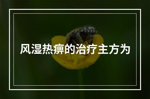 风湿热痹的治疗主方为