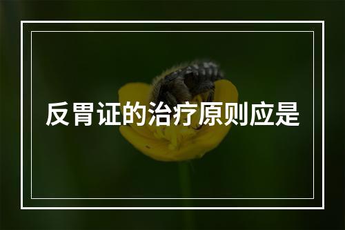 反胃证的治疗原则应是