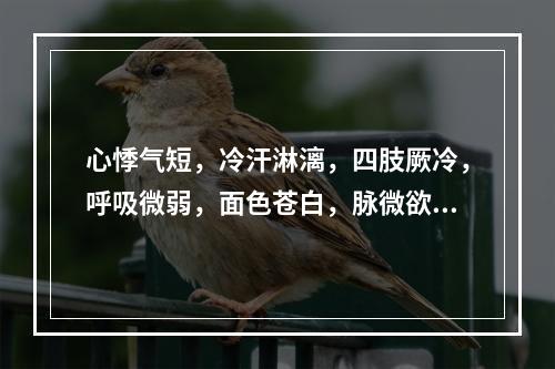 心悸气短，冷汗淋漓，四肢厥冷，呼吸微弱，面色苍白，脉微欲绝，