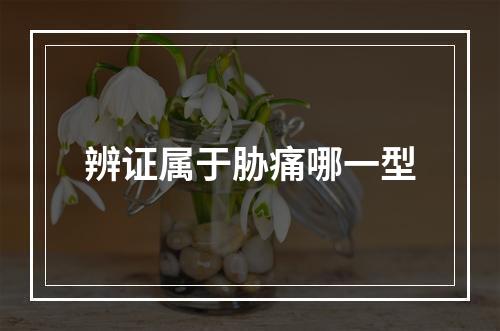 辨证属于胁痛哪一型