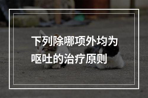 下列除哪项外均为呕吐的治疗原则