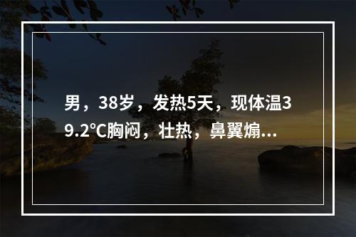 男，38岁，发热5天，现体温39.2℃胸闷，壮热，鼻翼煽动，