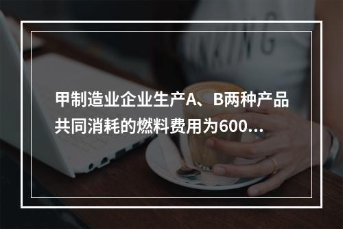 甲制造业企业生产A、B两种产品共同消耗的燃料费用为6000元