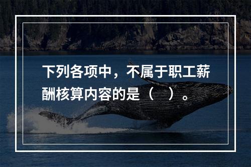 下列各项中，不属于职工薪酬核算内容的是（　）。