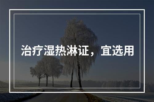 治疗湿热淋证，宜选用