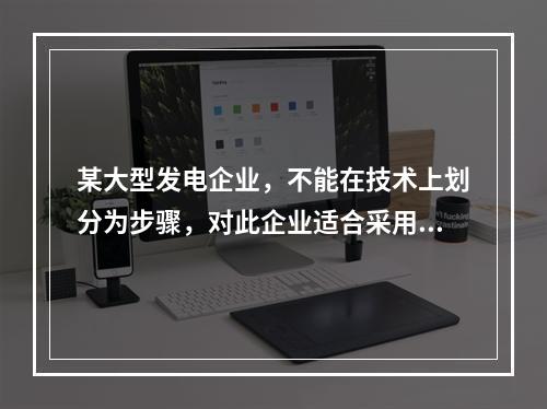 某大型发电企业，不能在技术上划分为步骤，对此企业适合采用的成