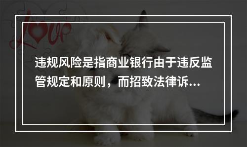 违规风险是指商业银行由于违反监管规定和原则，而招致法律诉讼或