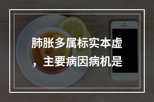 肺胀多属标实本虚，主要病因病机是