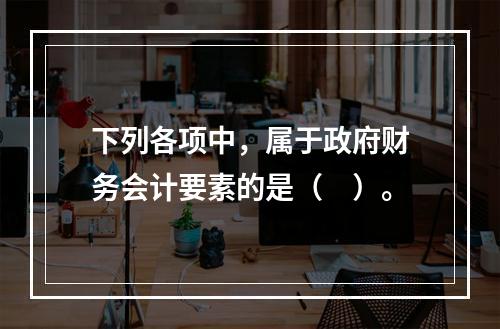 下列各项中，属于政府财务会计要素的是（　）。