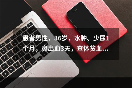 患者男性，36岁，水肿、少尿1个月，鼻出血3天，查体贫血貌，