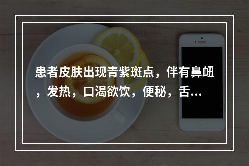 患者皮肤出现青紫斑点，伴有鼻衄，发热，口渴欲饮，便秘，舌红苔