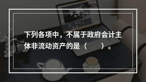 下列各项中，不属于政府会计主体非流动资产的是（　　）。