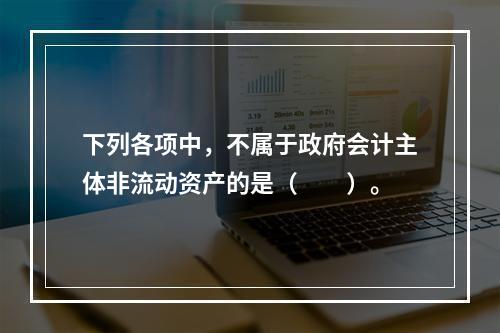 下列各项中，不属于政府会计主体非流动资产的是（　　）。