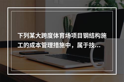 下列某大跨度体育场项目钢结构施工的成本管理措施中，属于技术措