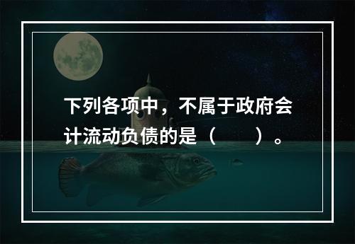 下列各项中，不属于政府会计流动负债的是（　　）。