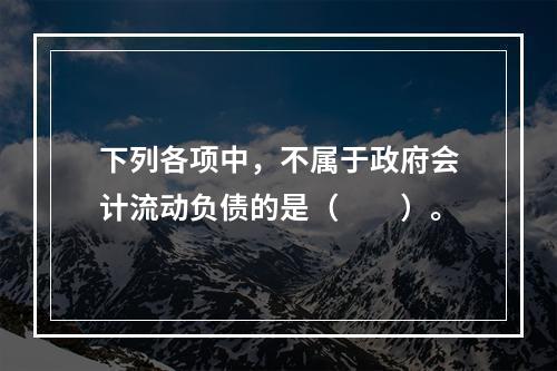 下列各项中，不属于政府会计流动负债的是（　　）。