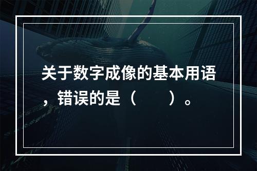 关于数字成像的基本用语，错误的是（　　）。