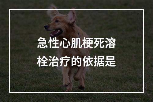 急性心肌梗死溶栓治疗的依据是