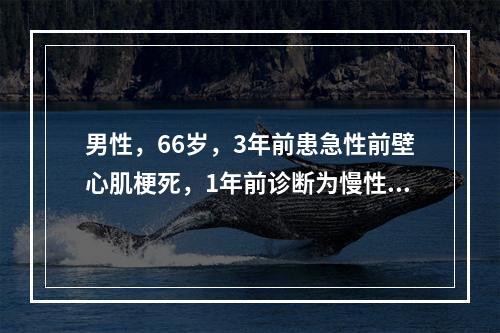 男性，66岁，3年前患急性前壁心肌梗死，1年前诊断为慢性心力