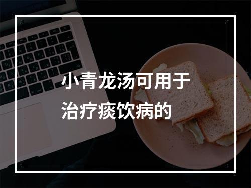 小青龙汤可用于治疗痰饮病的