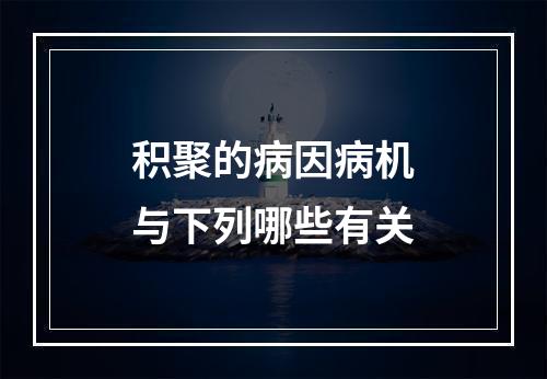 积聚的病因病机与下列哪些有关