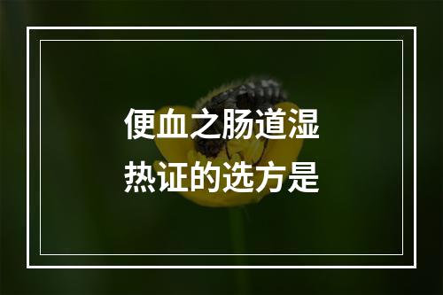 便血之肠道湿热证的选方是