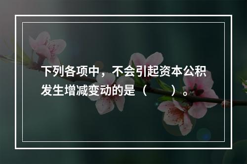 下列各项中，不会引起资本公积发生增减变动的是（　　）。