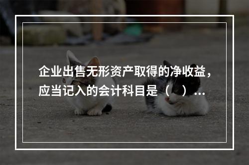 企业出售无形资产取得的净收益，应当记入的会计科目是（　）。