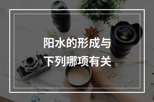 阳水的形成与下列哪项有关