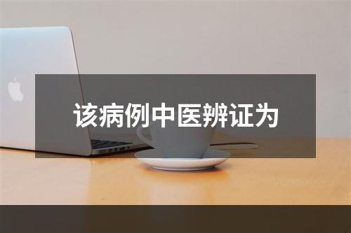 该病例中医辨证为