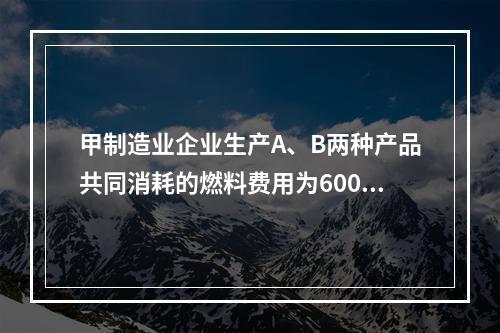 甲制造业企业生产A、B两种产品共同消耗的燃料费用为6000元