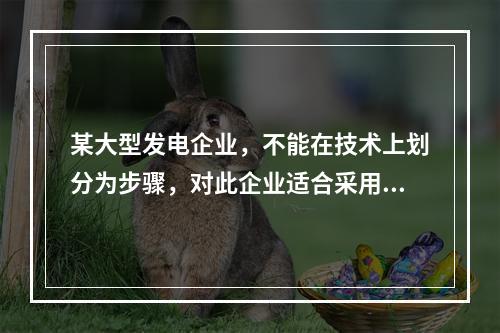 某大型发电企业，不能在技术上划分为步骤，对此企业适合采用的成